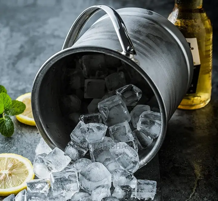 Insulated Stainless Steel Ice Bucket Wine Strainer Ice Tongs