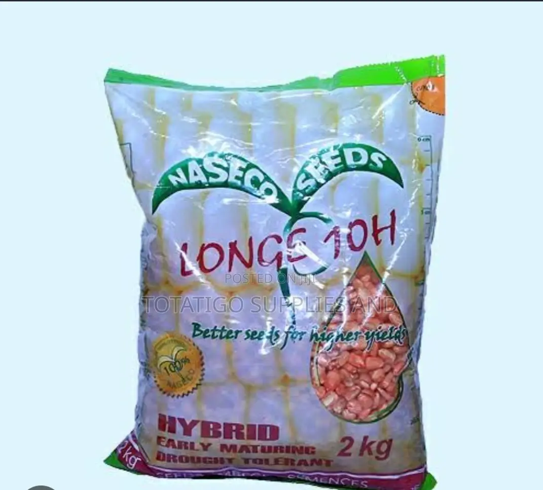 LONGE 10 HYBRID Maize Seeds