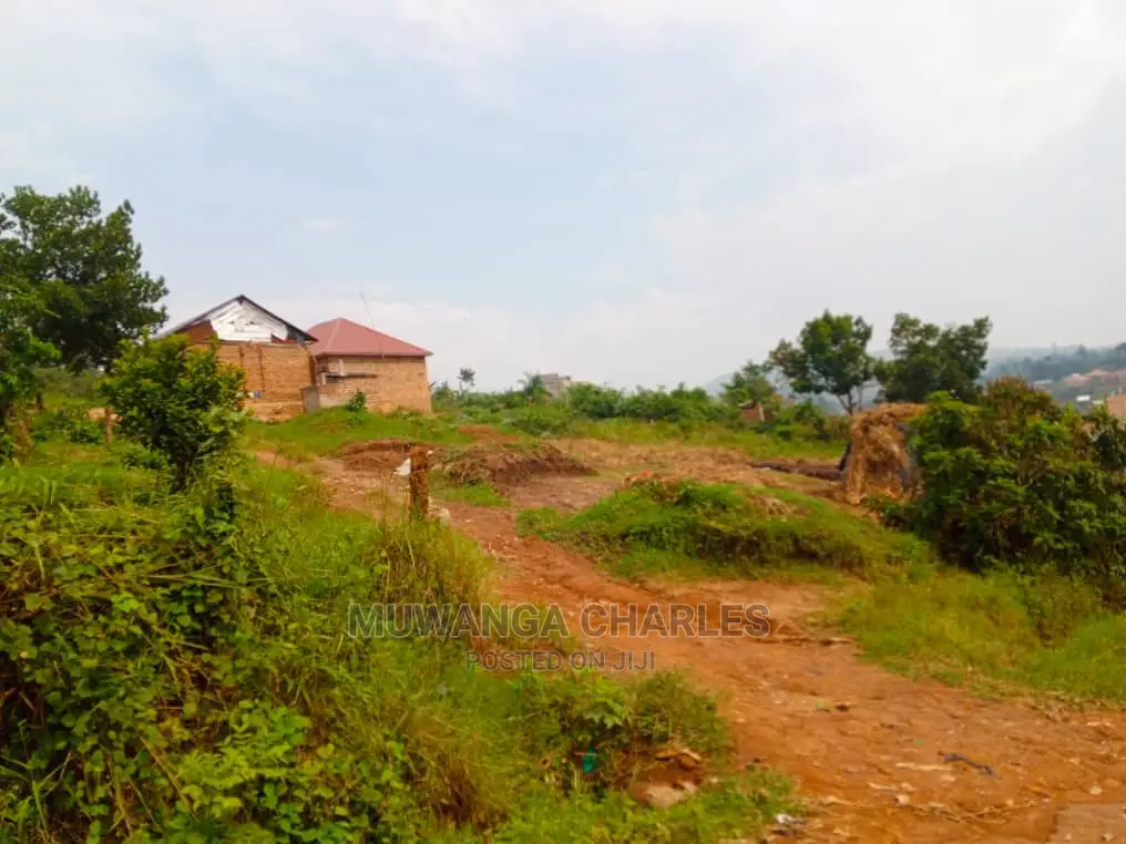 Plot's for Sale in Bugema Kalungu