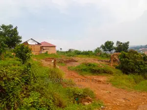Plot's for Sale in Bugema Kalungu