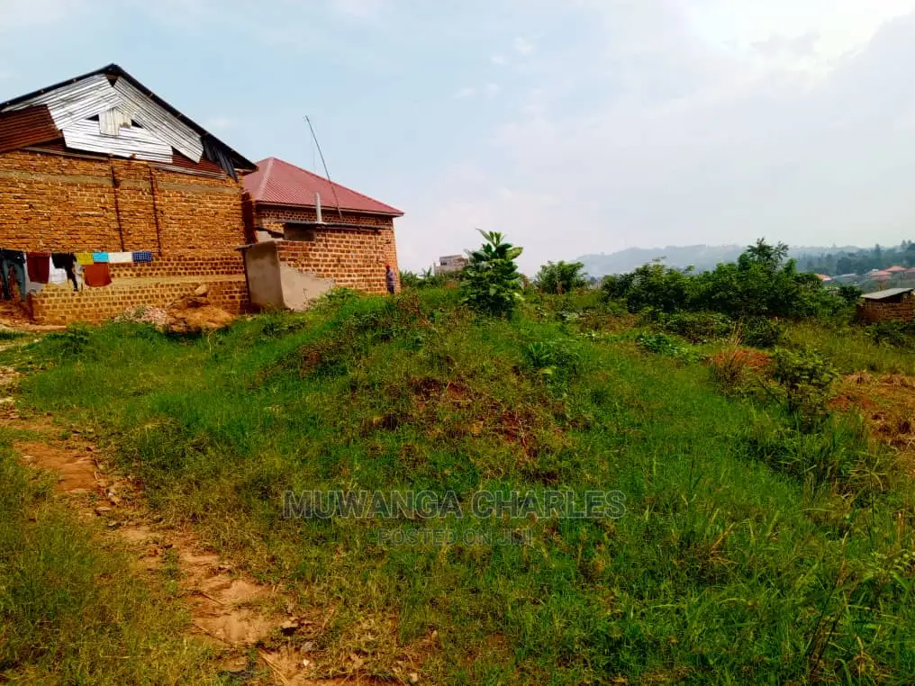 Plot's for Sale in Bugema Kalungu