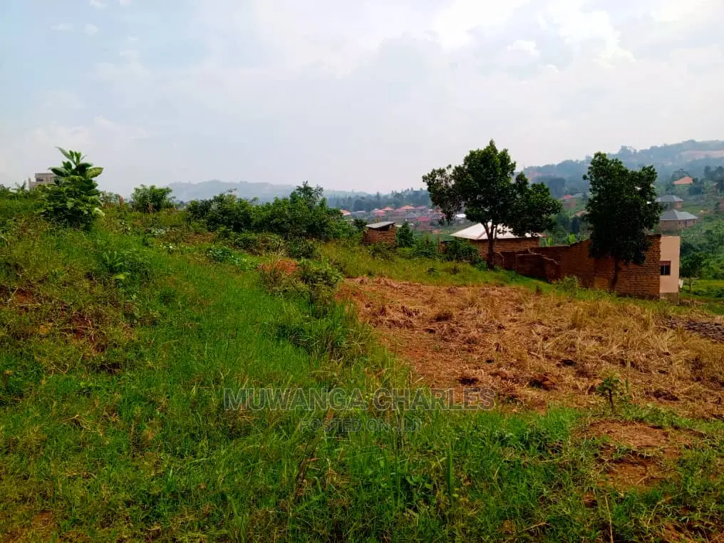Plot's for Sale in Bugema Kalungu