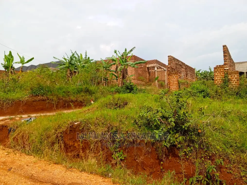 Plot's for Sale in Bugema Kalungu