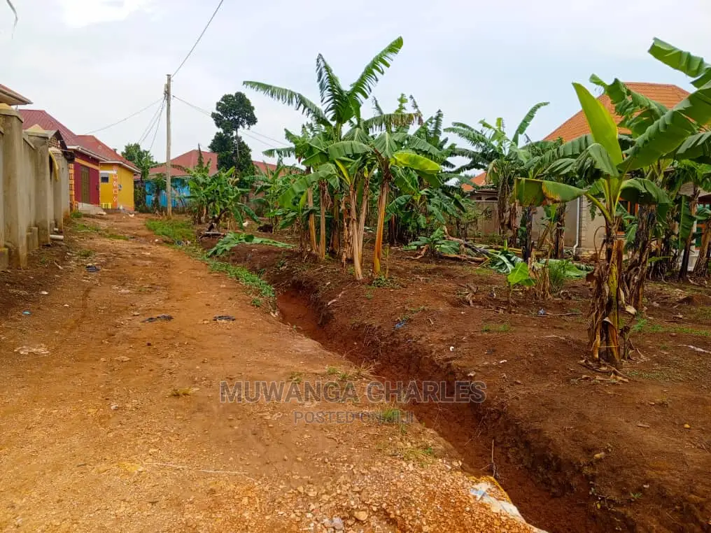 Plot's for Sale in Bugema Kalungu