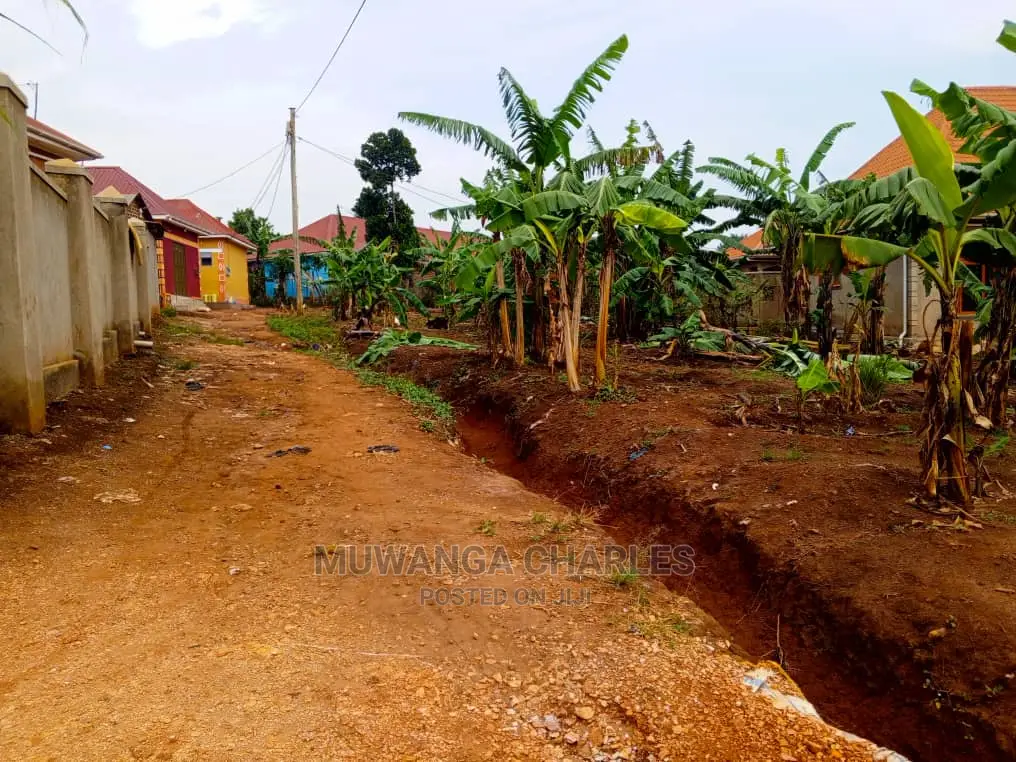 Plot's for Sale in Bugema Kalungu