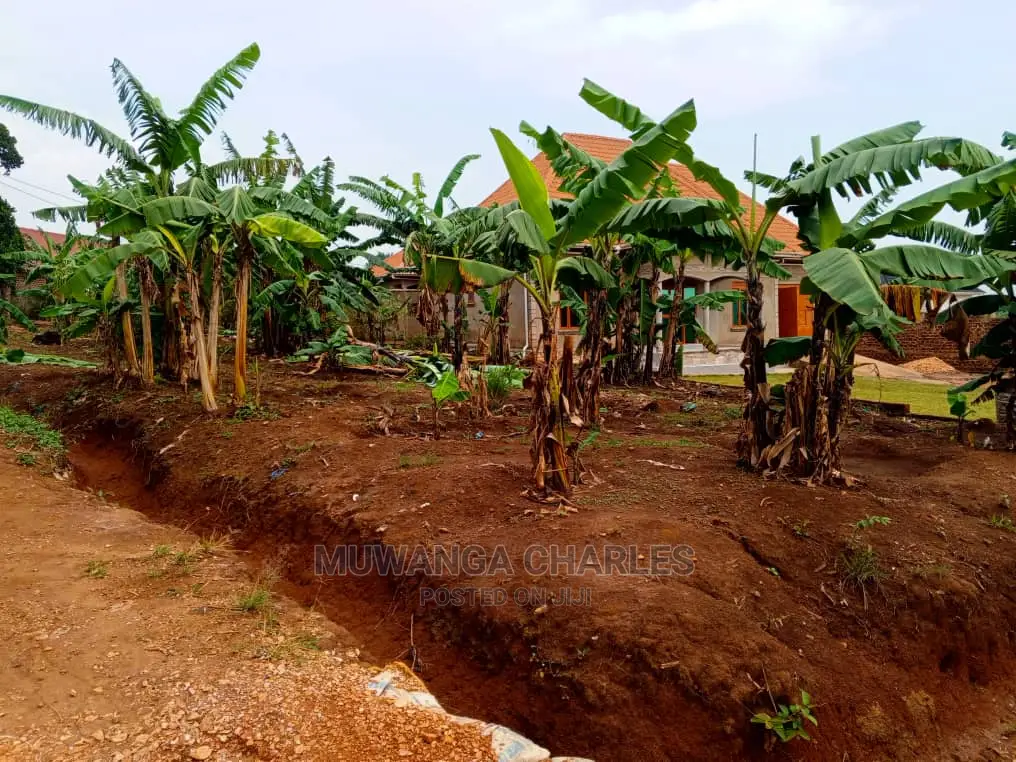 Plot's for Sale in Bugema Kalungu