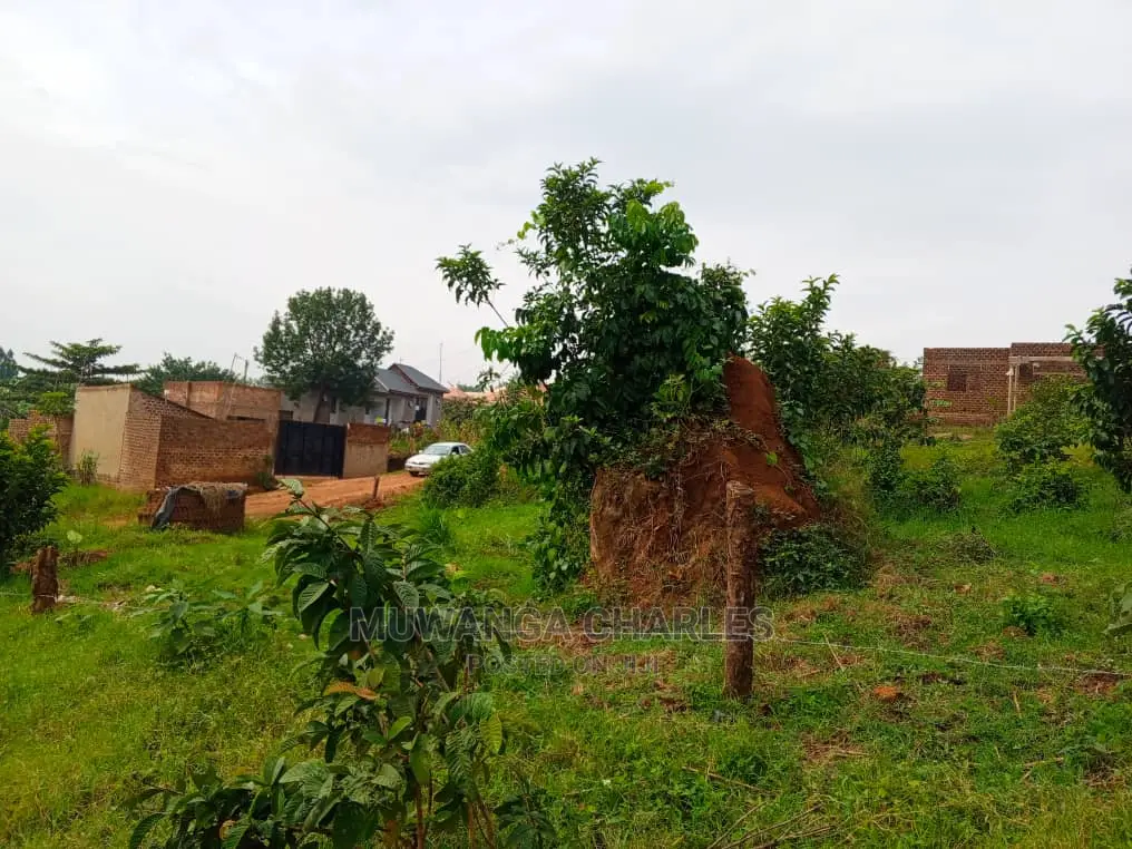 Plot's for Sale in Bugema Kalungu