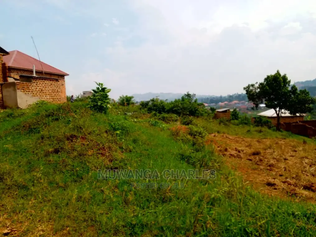 Plot's for Sale in Bugema Kalungu