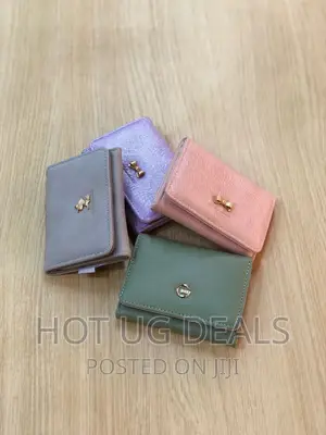 Trolley New Ladies Wallet Hand Embroidered -Multicolored