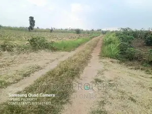Fertile 30acres of Land for Sale at Bujjuko~Nkambo Along Mityana Rd.