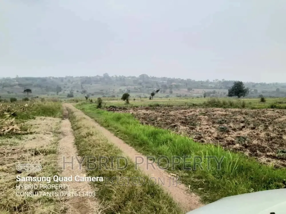 Fertile 30acres of Land for Sale at Bujjuko~Nkambo Along Mityana Rd.