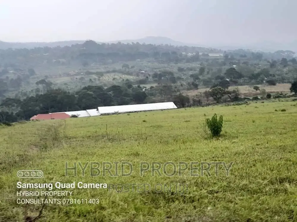 Fertile 30acres of Land for Sale at Bujjuko~Nkambo Along Mityana Rd.
