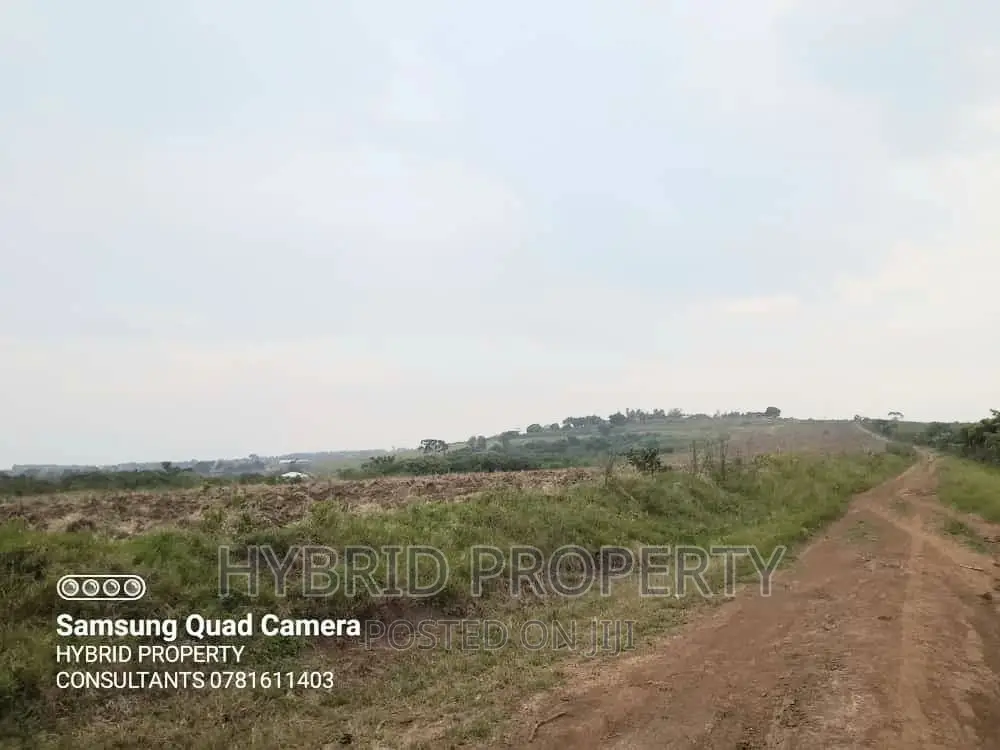 Fertile 30acres of Land for Sale at Bujjuko~Nkambo Along Mityana Rd.