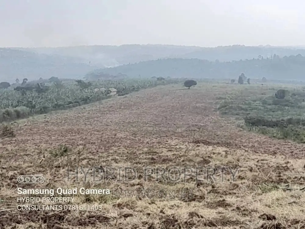 Fertile 30acres of Land for Sale at Bujjuko~Nkambo Along Mityana Rd.
