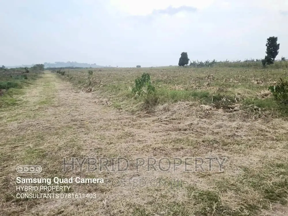 Fertile 30acres of Land for Sale at Bujjuko~Nkambo Along Mityana Rd.