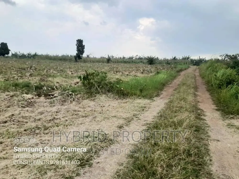 Fertile 30acres of Land for Sale at Bujjuko~Nkambo Along Mityana Rd.