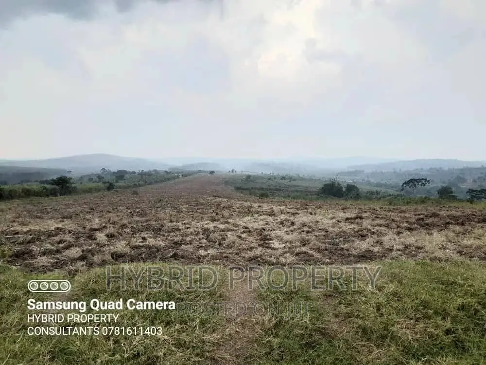 Fertile 30acres of Land for Sale at Bujjuko~Nkambo Along Mityana Rd.