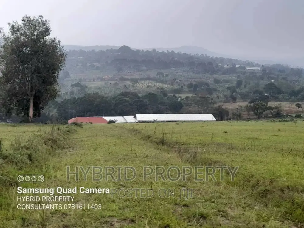 Fertile 30acres of Land for Sale at Bujjuko~Nkambo Along Mityana Rd.