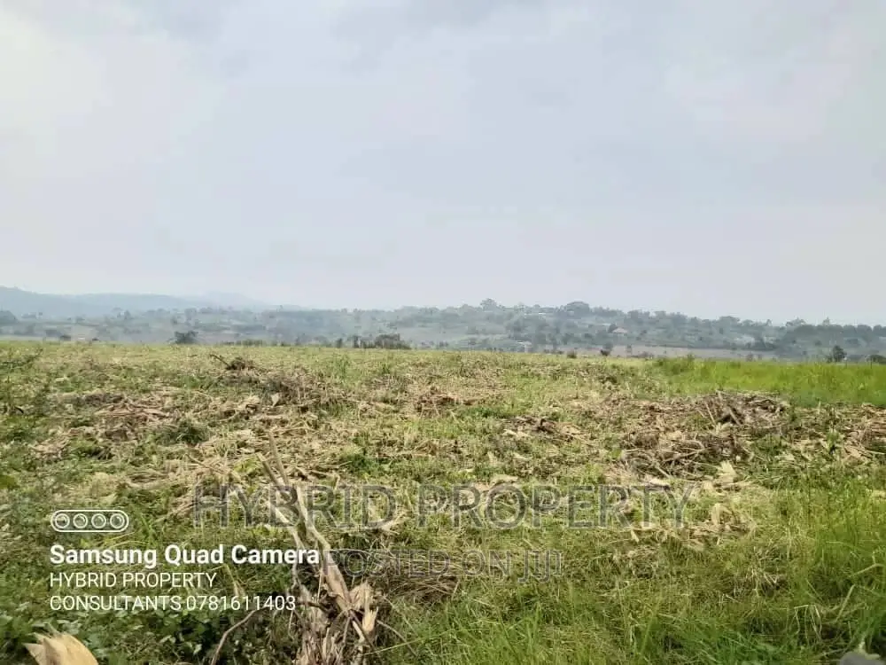 Fertile 30acres of Land for Sale at Bujjuko~Nkambo Along Mityana Rd.