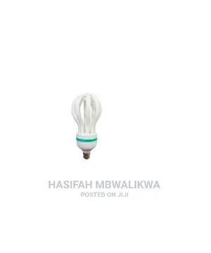 Energy Saver Bulb