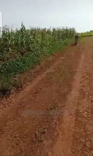 10acres of Land for Sale in Luwero