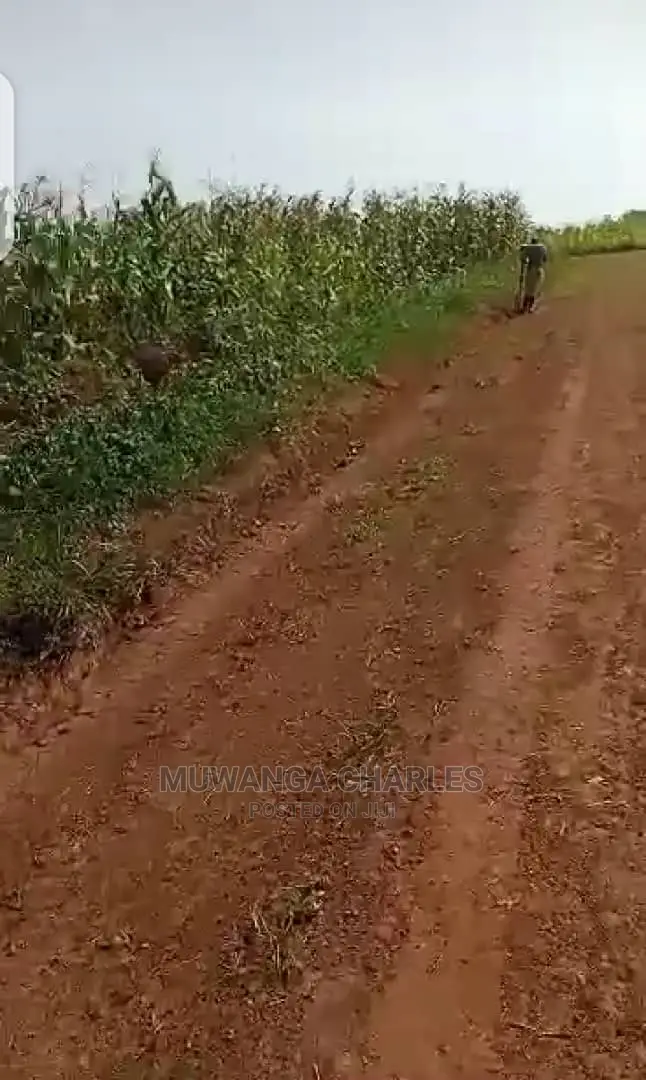 10acres of Land for Sale in Luwero