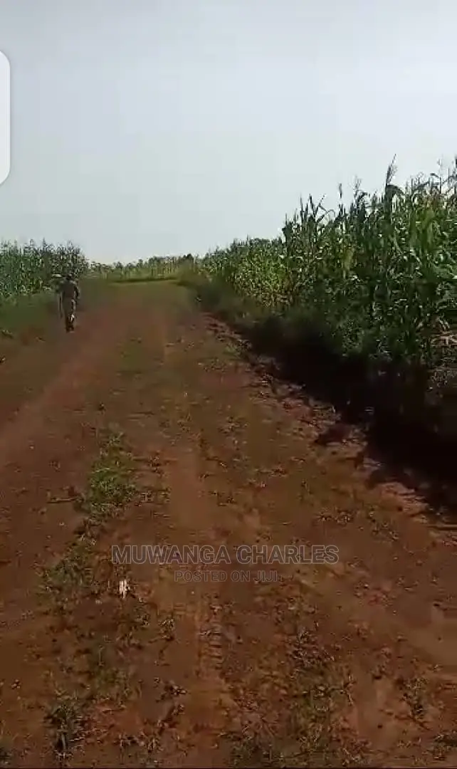 10acres of Land for Sale in Luwero
