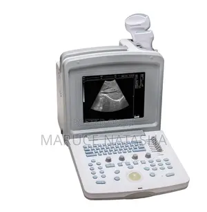 Portable Ultrasound Scan