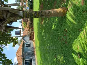 Furnished 4bdrm Mansion in Ntinda Minister'S, Nakawa for sale