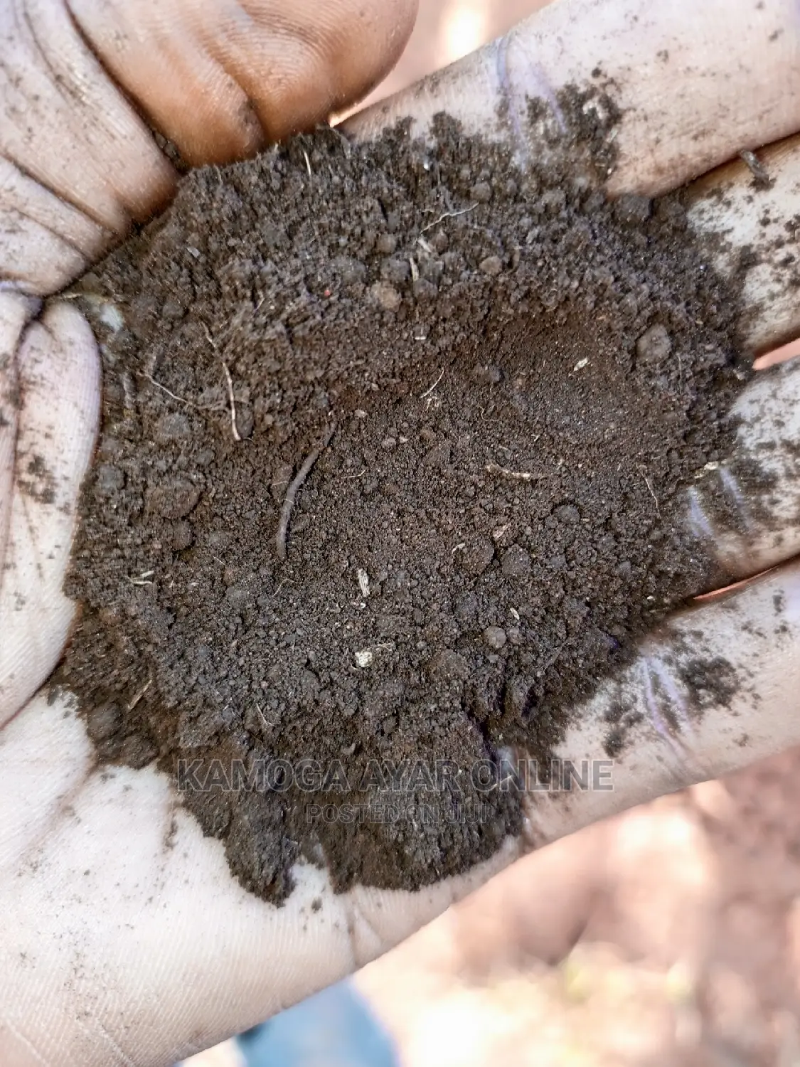 Black Fertile Soil/Fertilizer