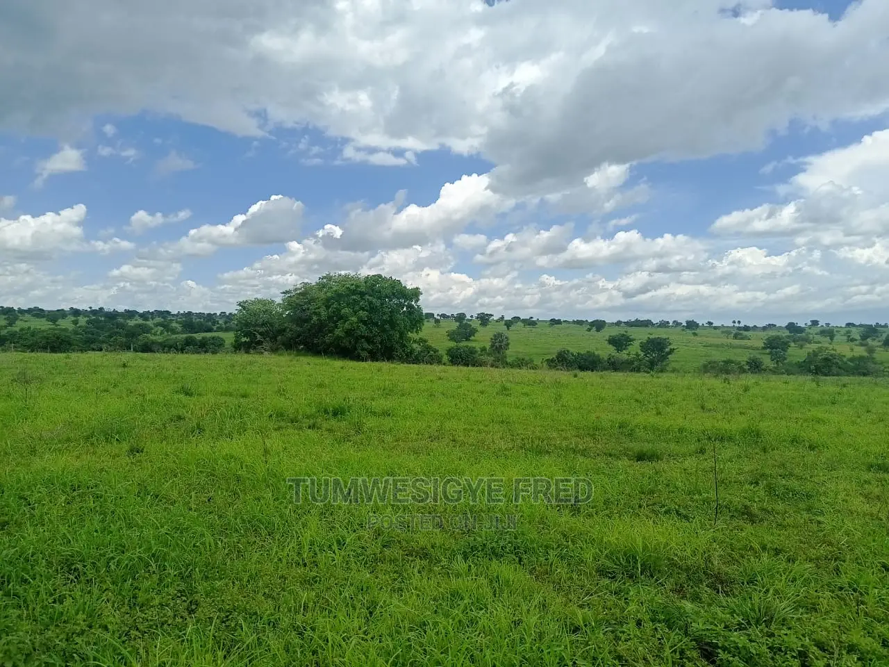 5 Square Miles of Land for Sale in Nwoya District.