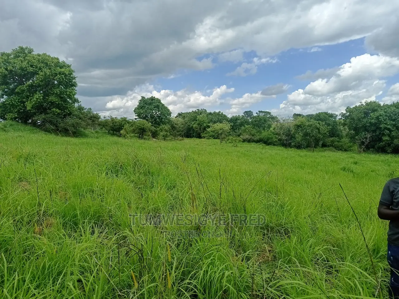 5 Square Miles of Land for Sale in Nwoya District.