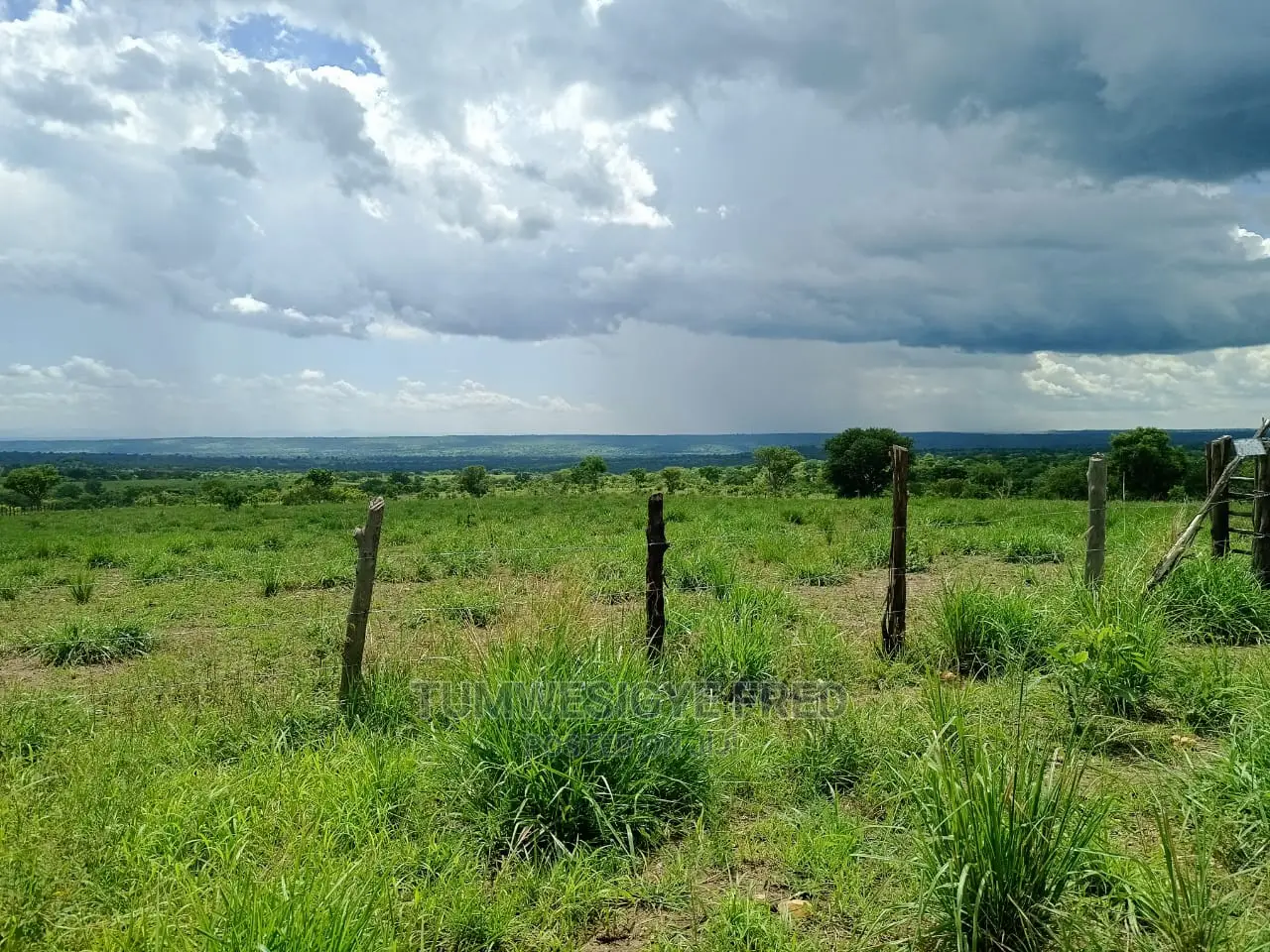 5 Square Miles of Land for Sale in Nwoya District.