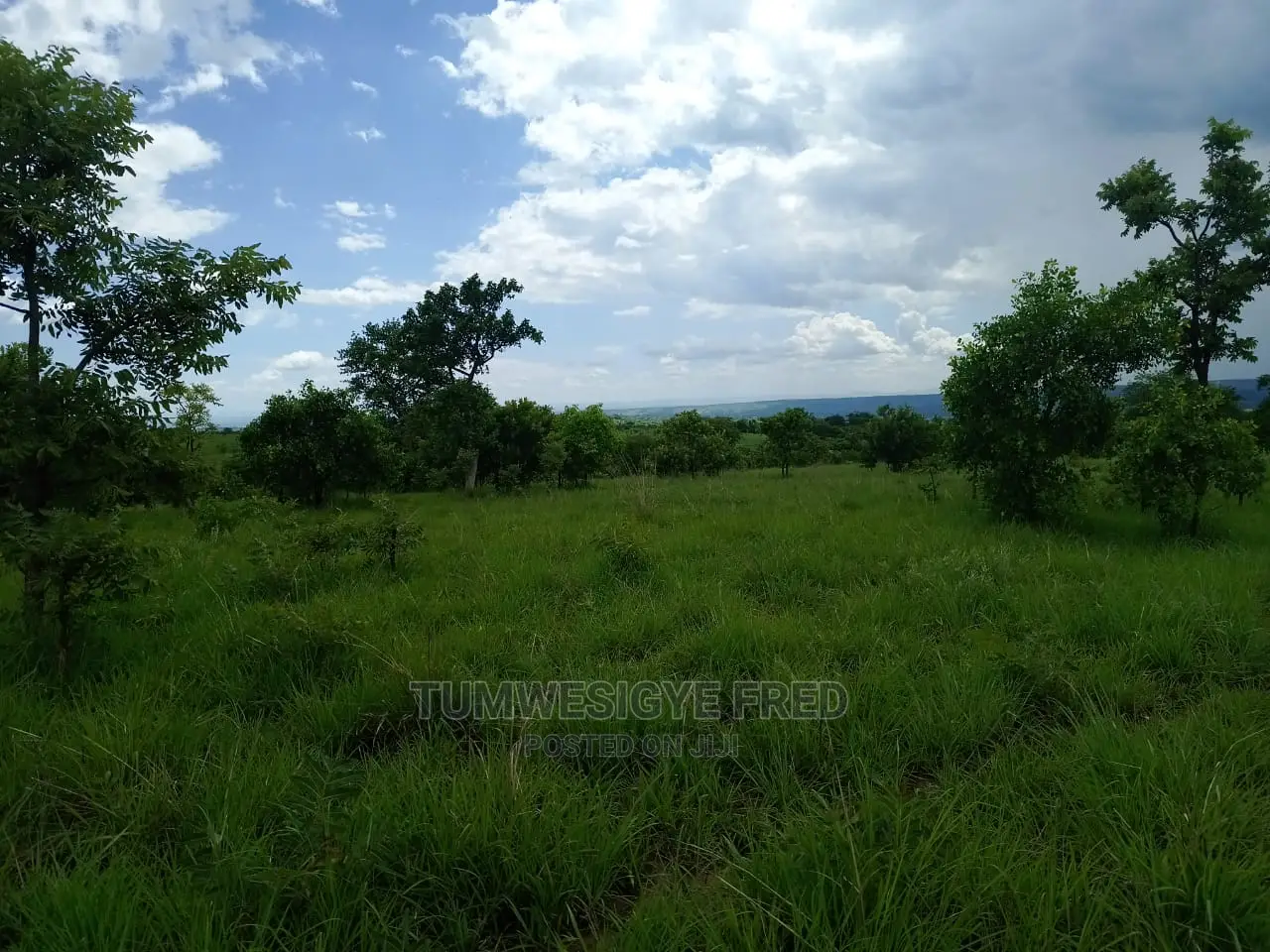 5 Square Miles of Land for Sale in Nwoya District.