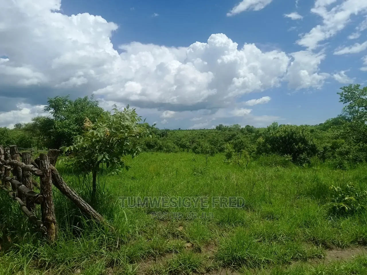 5 Square Miles of Land for Sale in Nwoya District.