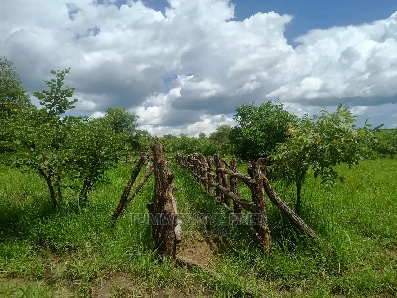 5 Square Miles of Land for Sale in Nwoya District.