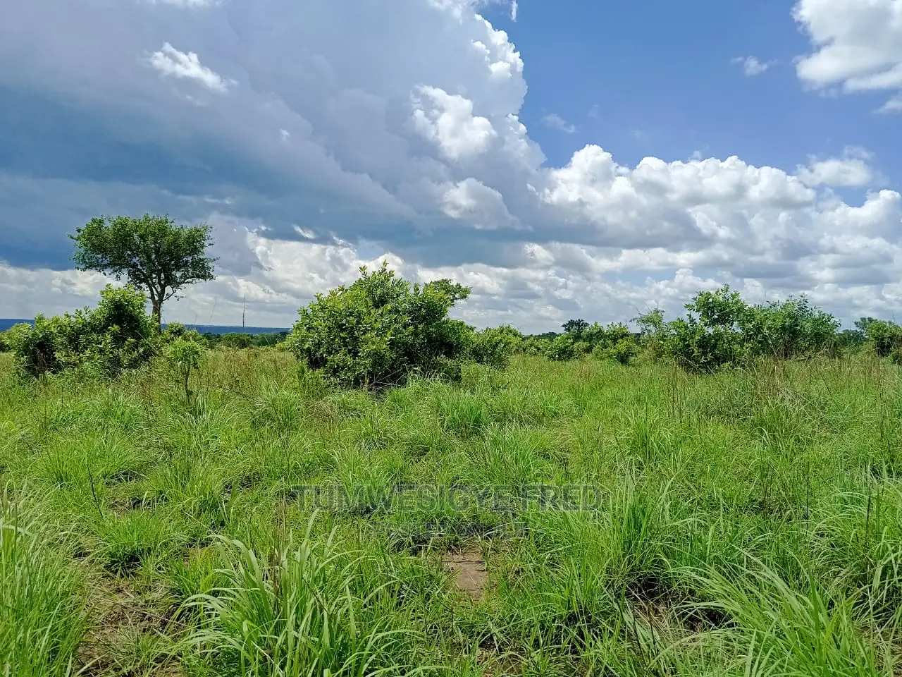 5 Square Miles of Land for Sale in Nwoya District.