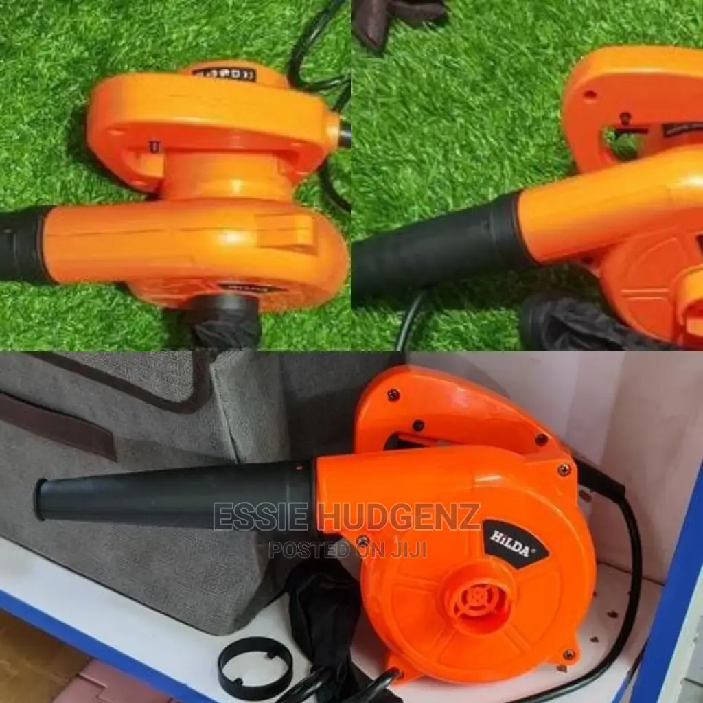 Electric Air Blower