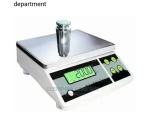 Electronic Standard Counting Weighing Equipment