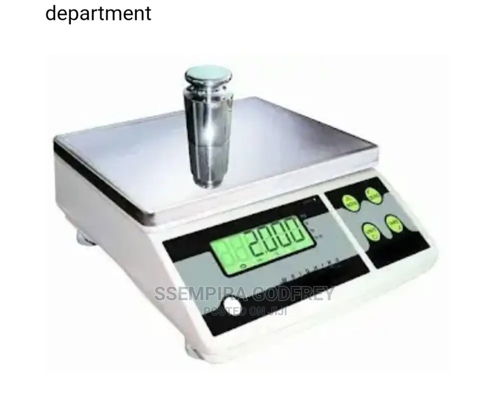 Electronic Standard Counting Weighing Equipment