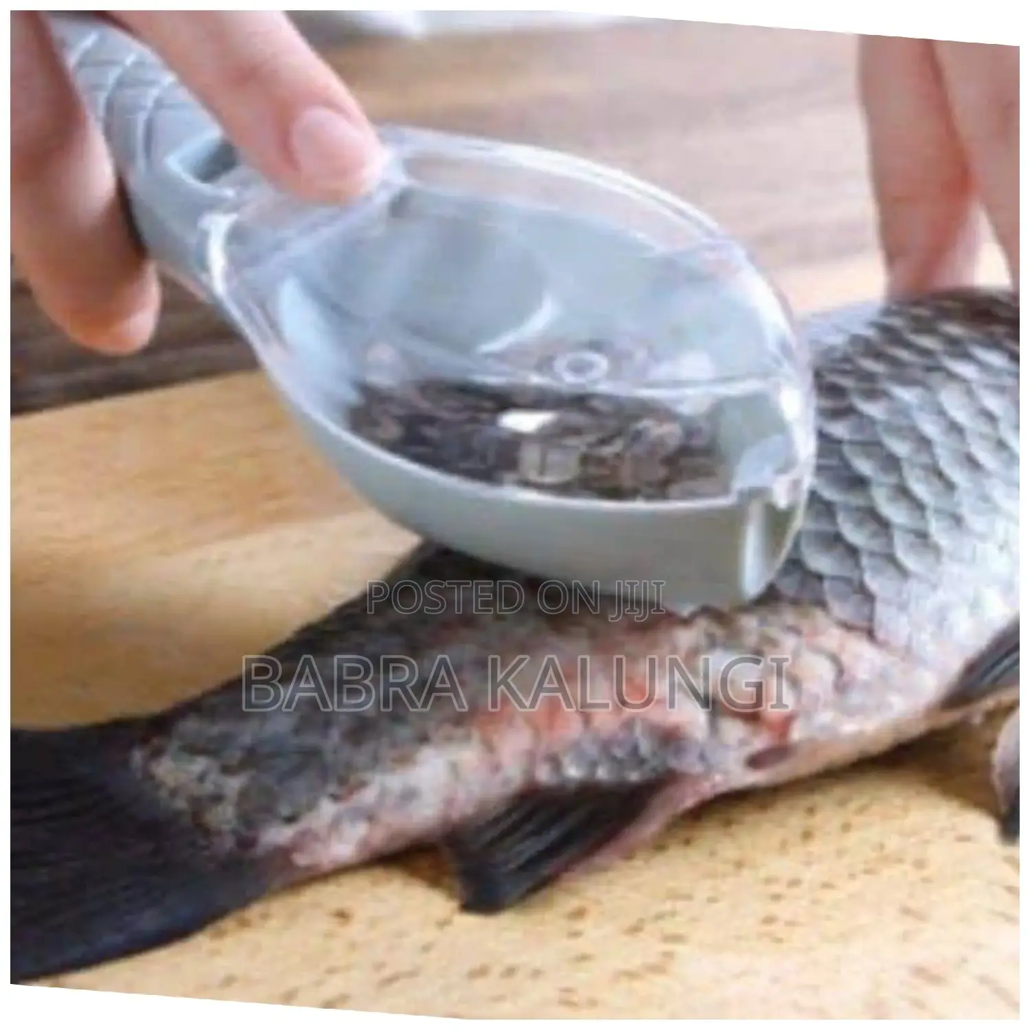 Fish Scales Remover