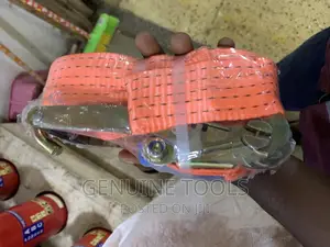 Cargo Belts