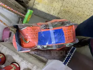 Cargo Belts