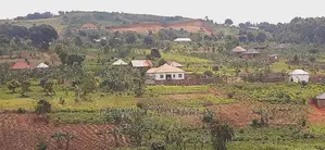 Plot's for Sale in Namugongo Sonde