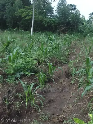 1.5acre of Land Available for Sale in Luwero