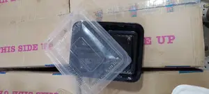 Partion Plates Disposable 12pcs