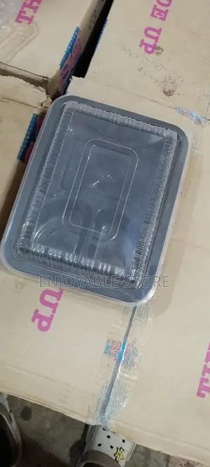 Partion Plates Disposable 12pcs