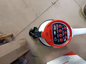 Mega Phone With Memory Card Port and Flash Port