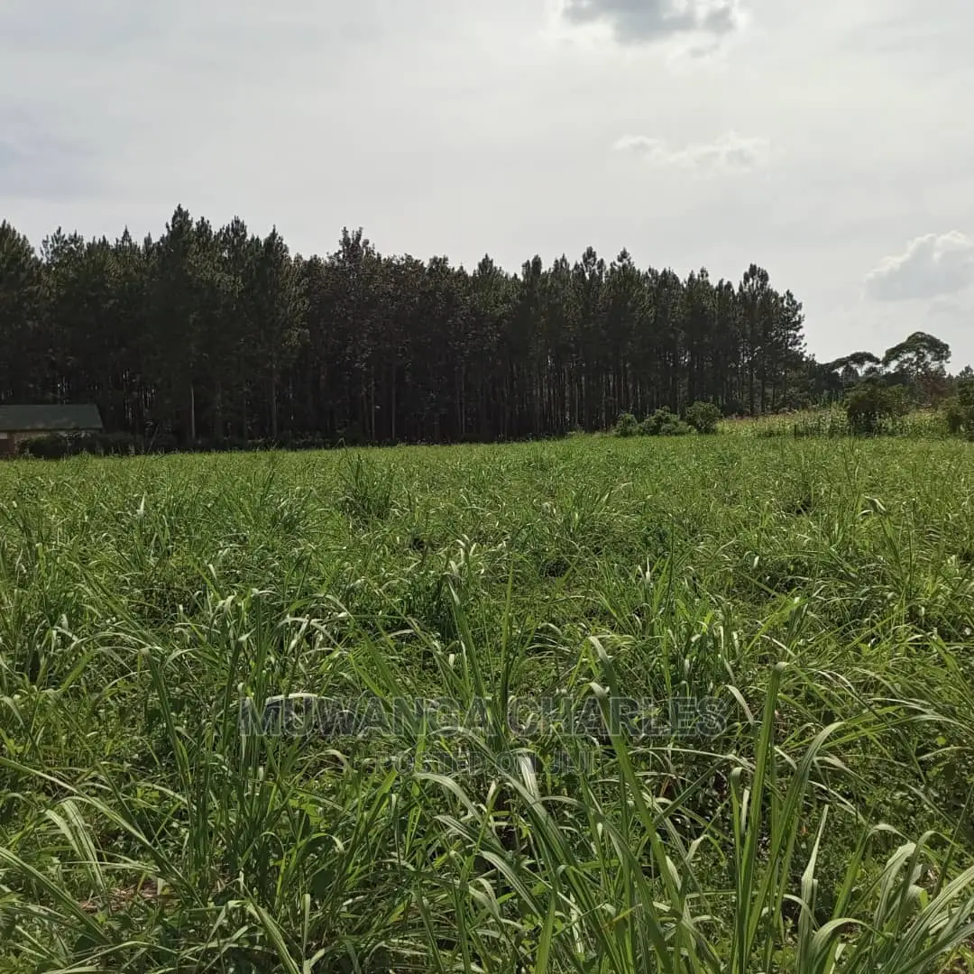 Plots for Sale in Gayaza Bugema