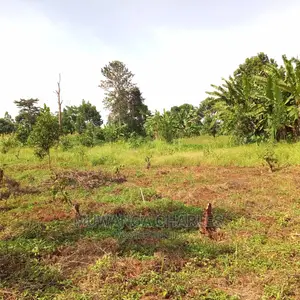 Plots for Sale in Gayaza Bugema